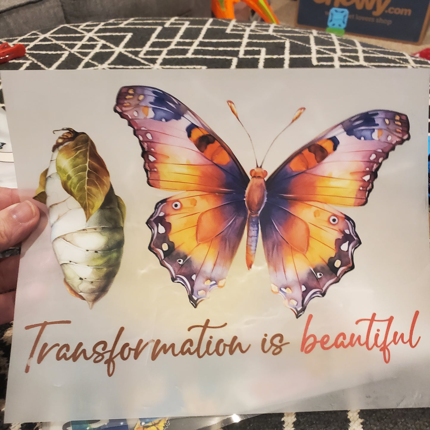 Transformation is Beautiful