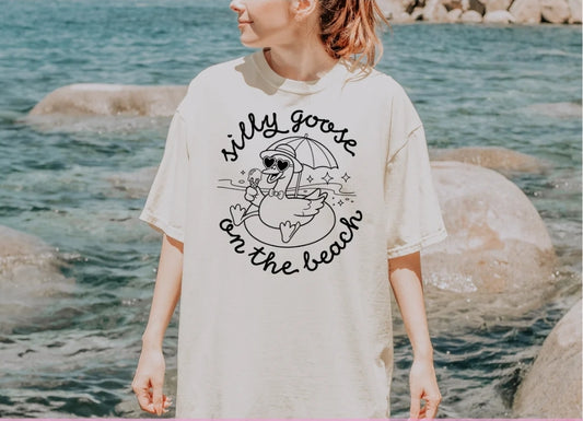 Silly Goose on the beach