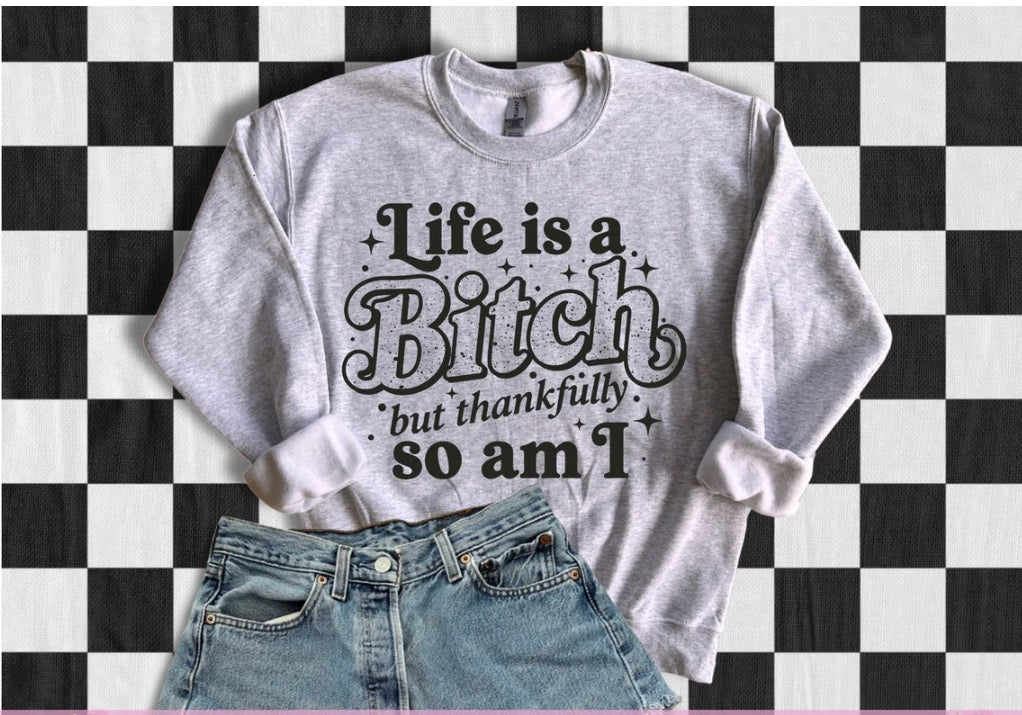 Life is a bitch